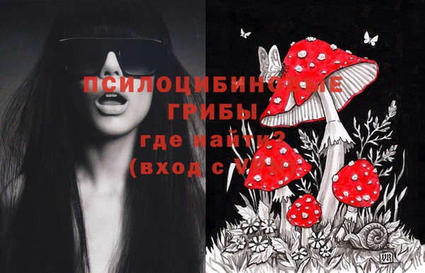 дурь Абинск